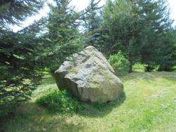 foto 21