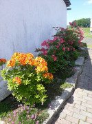 foto 20